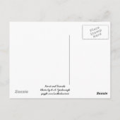 Texas Pferde Postkarte (Rückseite)