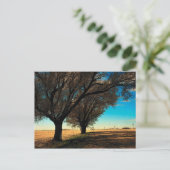 Texas Postcard Postkarte (Stehend Vorderseite)