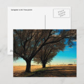Texas Postcard Postkarte (Vorne/Hinten)