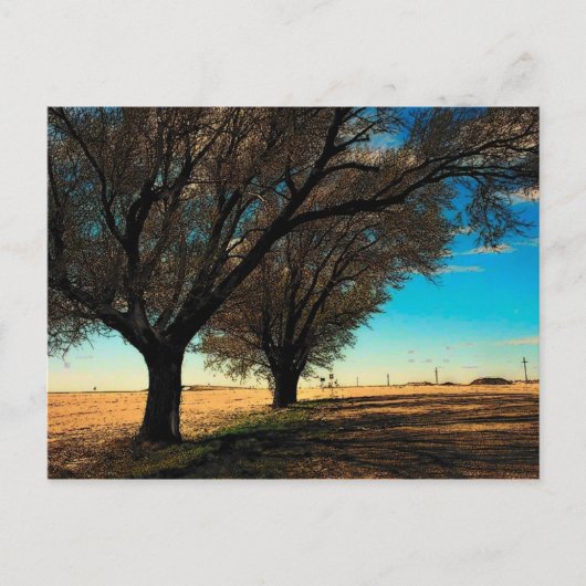 Texas Postcard Postkarte (Vorderseite)