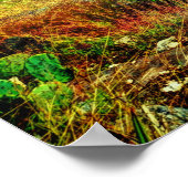 Texas  poster (Ecke)