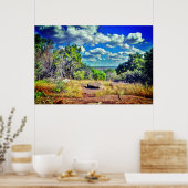 Texas poster (Küche)