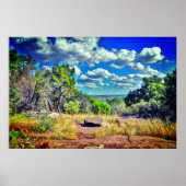 Texas  poster (Vorne)