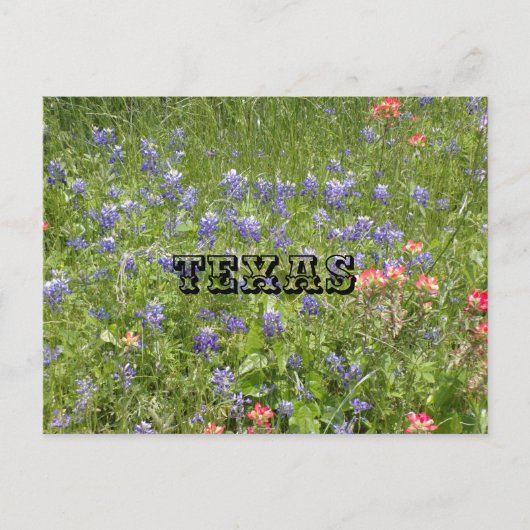 TEXAS Postkarte (Vorderseite)