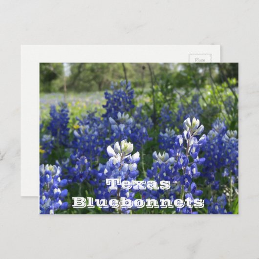 Texas Postkarten! Postkarte (Vorne/Hinten)