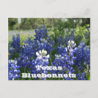 Texas Postkarten! Postkarte