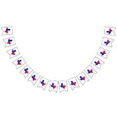 Texas Proud Flag Karte Wimpelkette (Alle)