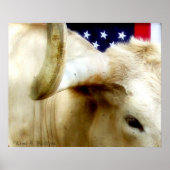 Texas Proud Poster (Vorne)