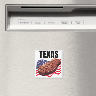 Texas-Quadrat-Magnet Magnet