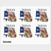 TEXAS QUADRATISCHER AUFKLEBER (Blatt)