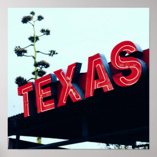 Texas Red Neon Lights USA Poster