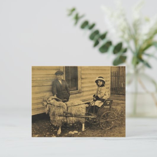 Texas Ride Postkarte (Stehend Vorderseite)