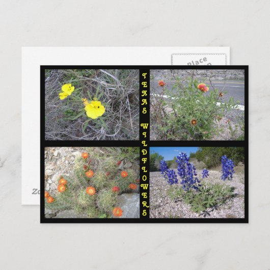 Texas Roadside Wildblumen Postkarte (Vorne/Hinten)