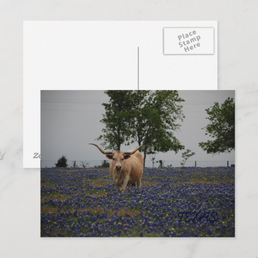 Texas Royalty Postkarte (Vorne/Hinten)