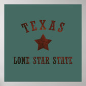texas rustikales WildWestern-Muster Poster (Vorne)