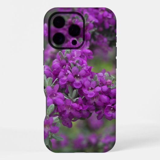 Texas Sage Iphone Case Hülle (Rückseite)