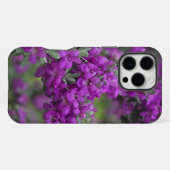 Texas Sage Iphone Case Hülle (Rückseite (Horizontal))