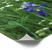 Texas, See Buchanan. Texas Bluebonnet und Wild Poster (Ecke)