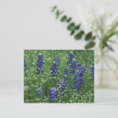 Texas, See Buchanan. Texas Bluebonnet und Wild Postkarte (Stehend Vorderseite)