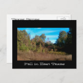 Texas Serie Postkarte (Vorne/Hinten)