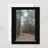 Texas Series Postkarte (Vorne/Hinten)