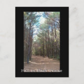 Texas Series Postkarte (Vorderseite)