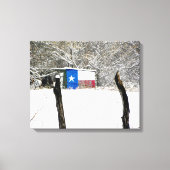 Texas Snow Leinwanddruck (Vorderseite)