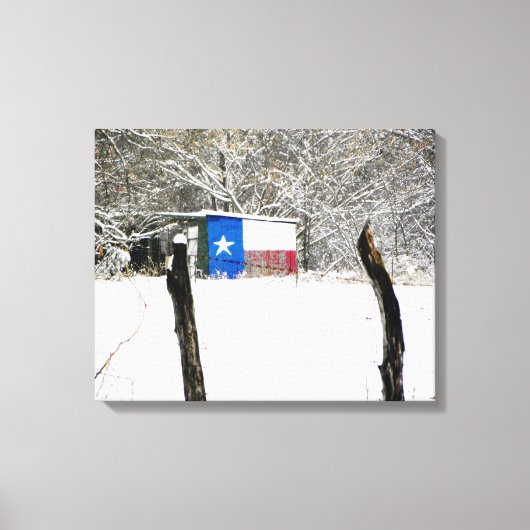 Texas Snow Leinwanddruck (Vorderseite)