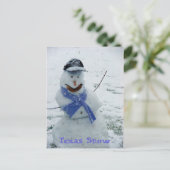 Texas Snow Postkarte (Stehend Vorderseite)