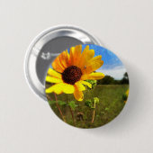 Texas-Sonnenblumen durch Jill Button (Vorne & Hinten)
