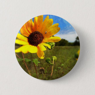 Texas-Sonnenblumen durch Jill Button