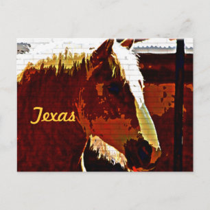 Texas, Sorrel Pferd im Profil Postkarte
