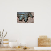 Texas-Spinndrüse Weichschildkröte Poster (Küche)