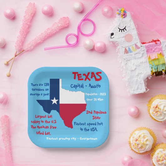 Texas Square Paper Party Plate Phantastisch Fakten Pappteller (Party)