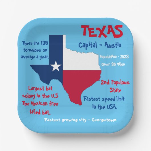 Texas Square Paper Party Plate Phantastisch Fakten Pappteller (Vorderseite)