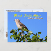 Texas Staat Bird - Northern Mockingbird Postkarte (Vorne/Hinten)