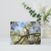 Texas Staat Bird Post Card Postkarte (Stehend Vorderseite)
