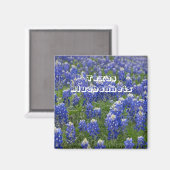 Texas Staat Blumen Bluebonnets Magnet (Vorderseite/Rückseite)