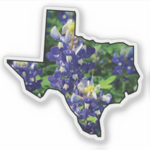 Texas Staat Kontur mit Bluebonnets Aufkleber