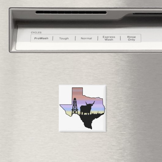 Texas Staat Magnet (In Situ (Geschirrspüler))
