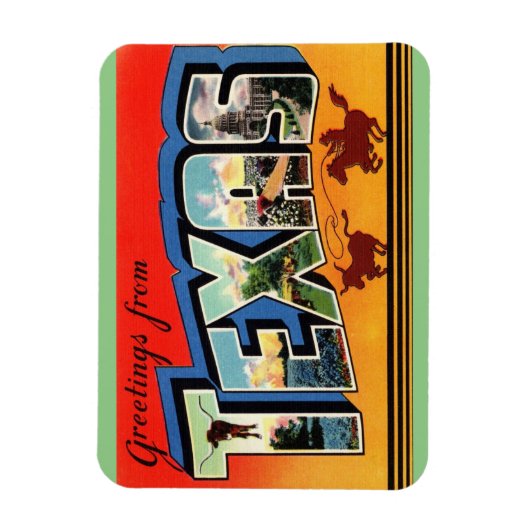 Texas Staat Magnet (Vertikal)