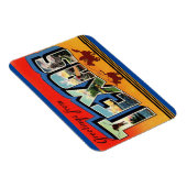 Texas Staat Magnet (Rechte Seite)