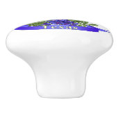 Texas Staat Mockingbird & Bluebonnet Blume Keramikknauf (Seitenansicht)