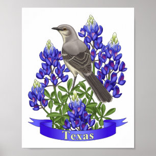 Texas Staat Mockingbird & Bluebonnet Blume Poster