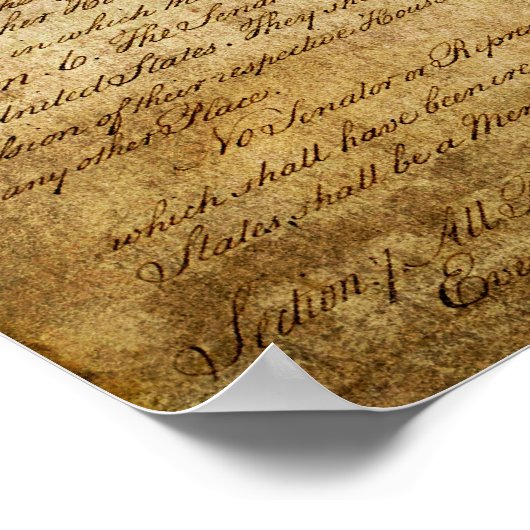 Texas Staat Poster (Ecke)