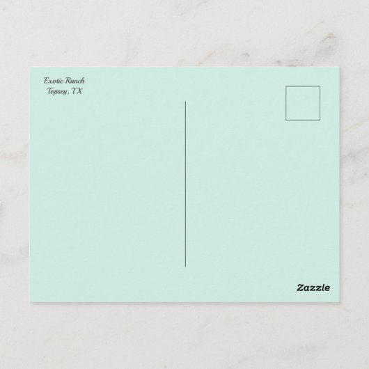 Texas Staat Postkarte (Rückseite)