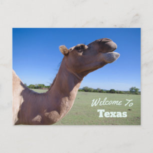 Texas Staat Postkarte