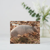 Texas Staat Postkarte (Stehend Vorderseite)