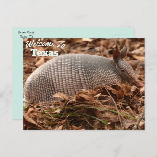 Texas Staat Postkarte (Vorne/Hinten)