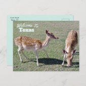 Texas Staat Postkarte (Vorne/Hinten)
